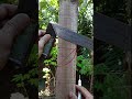tips and trick