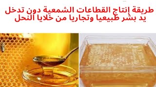 طريقة استخلاص و تصنيع القطاعات الشمعية بالعسل من خلايا النحل دون تدخل يد بشر