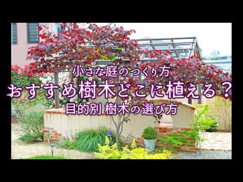 ｸﾞﾚｲｽｵﾌﾞｶﾞｰﾃﾞﾝ おすすめ樹木どこ植える 目的別樹木の選び方 Youtube