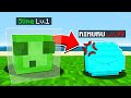 Minecraft, But I Made it That Time I Got Reincarnated as a Slime!