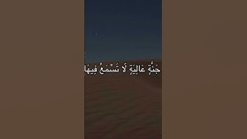 وجوهٌ يومئذ ناعمة "سورة الغاشية"