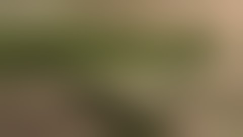 cch2o mr nice scrogg day 61