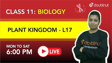 PLANT KINGDOM | Angiosperms | Class 11 Biology | 6 PM Class By Somia  Ma