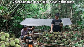 2 Days Cdaning Fishing And Harvesting Durian Fruit From The Kalimantan Forest