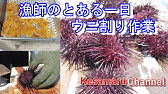 雲丹 うに のさばき方 How To Filet Sea Urchin 日本さばけるプロジェクト 海と日本プロジェクト Youtube 雲丹 うに のさばき方 How To Filet Sea Urchin 日本さばけるプロジェクト 海と日本プロジェクト Youtube