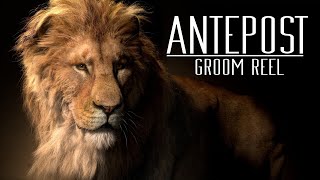 Antepost - Groom Reel 2022