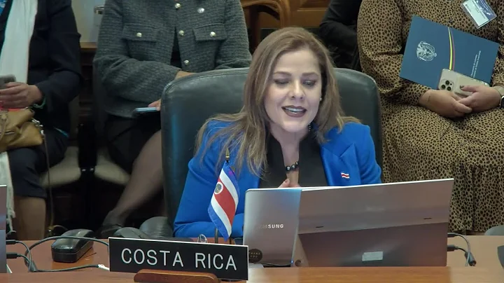 2025 OCT 15 Special Meeting of the Permanent Council