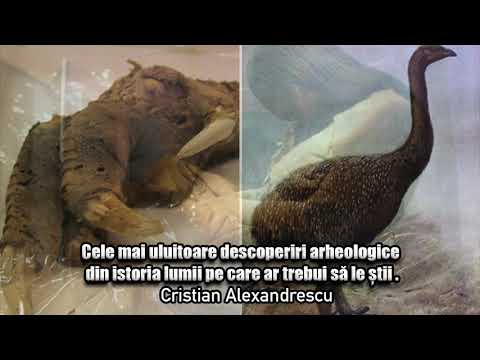 Video: Descoperiri Biologice Majore Ale Secolului XX