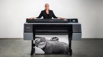 The Print Is Why | Sylvie Blum