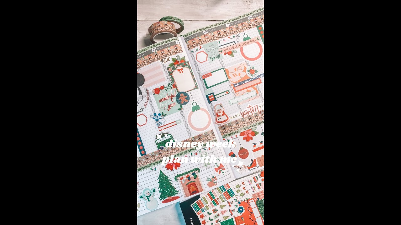 DISNEY TRIP WEEK PLAN WITH ME | Passion Planner | Disney Planner