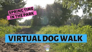 VIRTUAL DOG WALK | 8 Hour Dog Walk For Dogs To Watch (with sound)