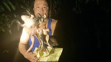 đi thăm 12 cửa ngực gần sáng ai dính được cặp ếch to đùng