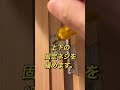 #shorts 【大建工業】スリーステップで建具調整【diy】自分で出来ます。