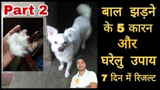 Stop Hairfall of dog with Homemade remedies.