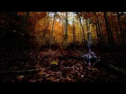 Chariots of Fire video