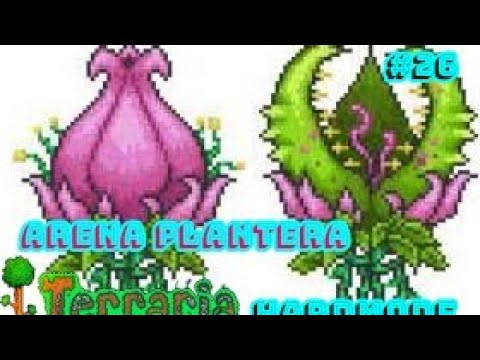 plantera arena expert