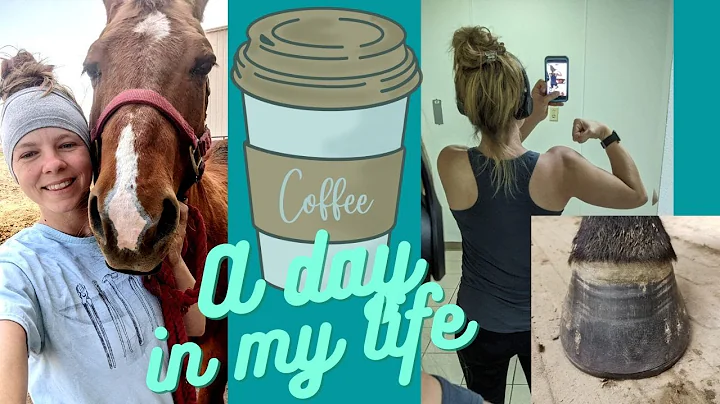 Day in the life of a female Midwest farrier, shoei...