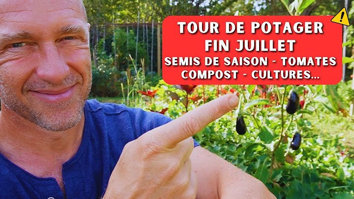 Au potager fin juillet, début août 2024