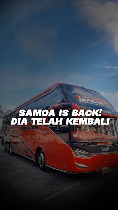 STJ SAMOA KEMBALI DENGAN ARMADA BARU #tunasmuda #stj #bus