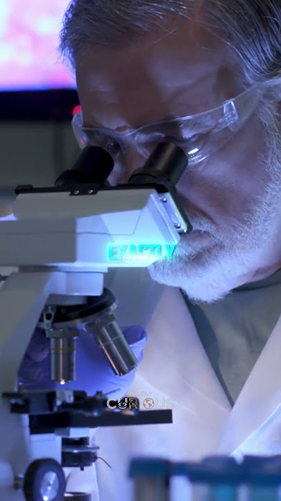 The Planarian: The Worm That Can Regrow Itself