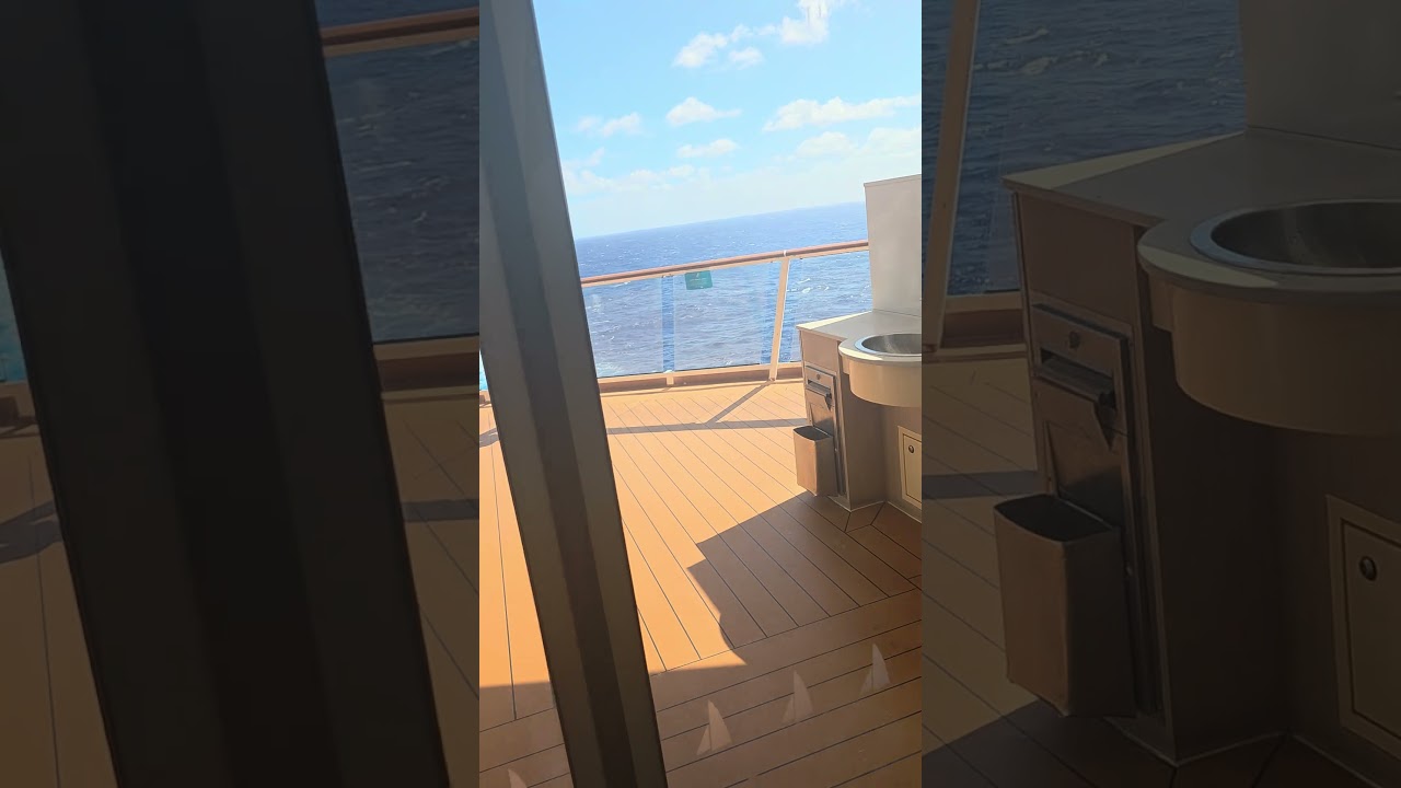 Inside the cruise -amazing!!!!#anthemofthesea #royalcaribbean #bestcruise #explore #familytime