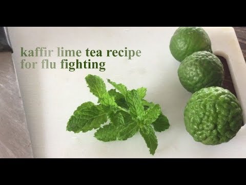 kaffir-lime-honey-tea-recipe-for-flu-fighting-มะกรูด