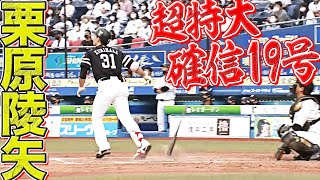 栗原陵矢 打った瞬間！『超特大の今季19号で貴重な追加点』