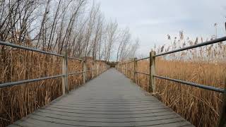 GoPro Video Bike Ride - Liberty State Park NJ