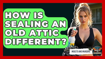 How Is Sealing An Old Attic Different? - Insects and Invaders