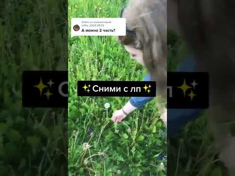 💫сними с лп💫#shorts#лп#2часть