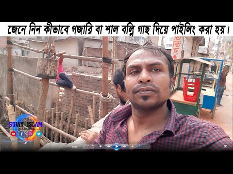 ভিডিও: লবললি পাইন কত লম্বা?