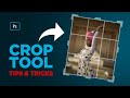 Crop Tool Tips &amp; Tricks | Photoshop Tutorial