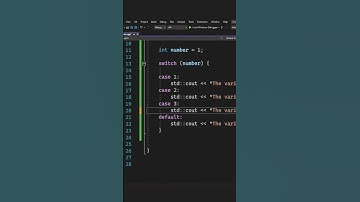 C++ Programming: This Is How A Switch Statement Will Check Each Condition! #shorts