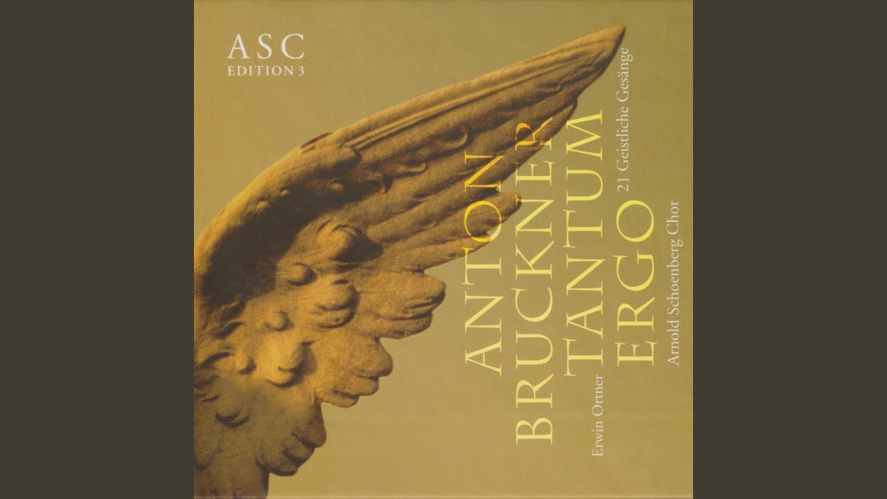 Tonton Tantum ergo in D Major, WAB 32 di YouTube