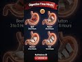 How Long Does It Take to Digest Meat? | Beef, Mutton , Chicken and Fish