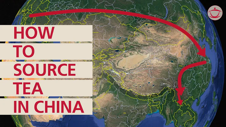 How to source tea in China: plan your next tea journey! - DayDayNews