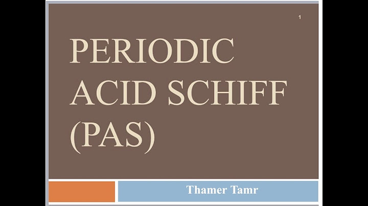 Nhuộm pas periodic acid schiff là gì năm 2024