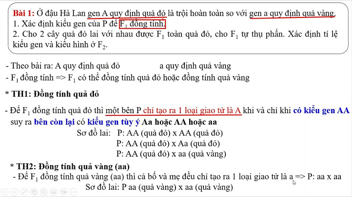 Câu hỏi và bài tập lai một cặp tính trạng năm 2024