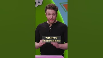 The Birds & The Bees (& The Fire & The Sword & The Spell & The Prophecy)