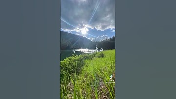 يا حسره على العباد_سورة يس#القارئ_الشيخ_ياسر_الدوسري