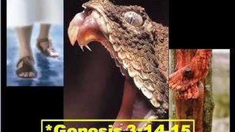 The Greatest Commandment