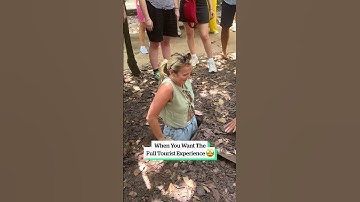 Wanneer u de volledige toeristische ervaring wilt 🤩