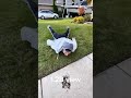 #trending #viral #foryou #from #reverseedit #memes