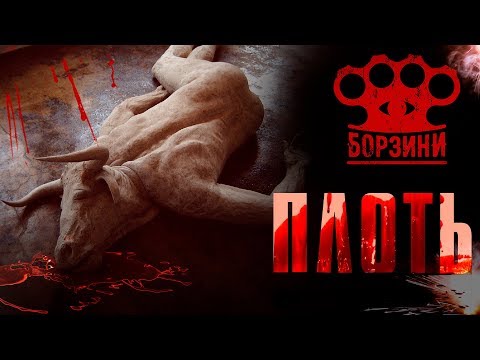 Борзини - ПЛОТЬ