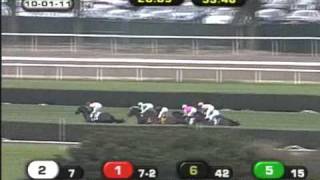 2011 Flower Bowl Invitational Stakes - Stacelita