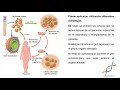 Seminario Biología molecular. Parte 4.