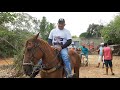 🐎#94 FEIRA DE CAVALOS EM CANAFISTULA FREI DAMIÃO.  AL. 11.01.2021