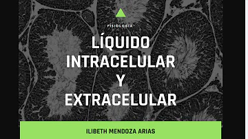 ¿Cuáles son los principales iones extracelulares y por qué?