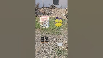 labubu squid game music #labubu #funny #squidgamchallenge #tiktok