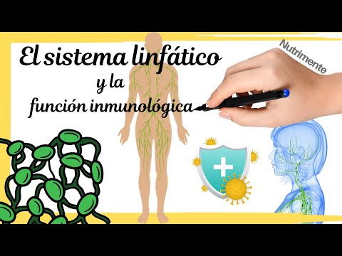 Vídeo: Diferencia Entre Sistema Inmunológico Y Sistema Linfático